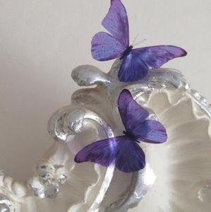 Meet your Posher, Cheyenne